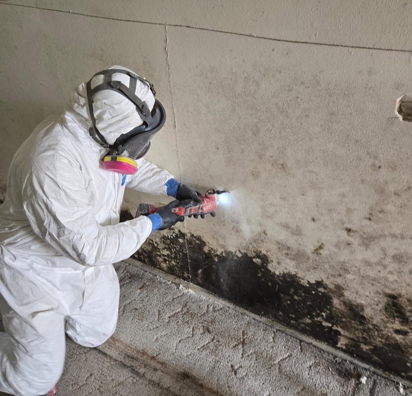 Mold Remediation