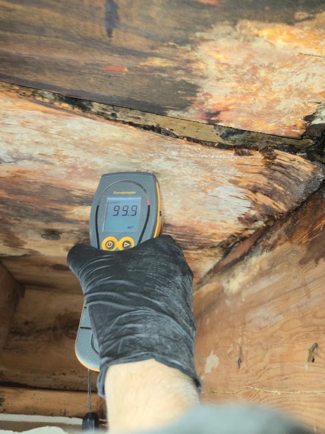 Moisture & Thermal Inspection by Rich Clean Air Restoration