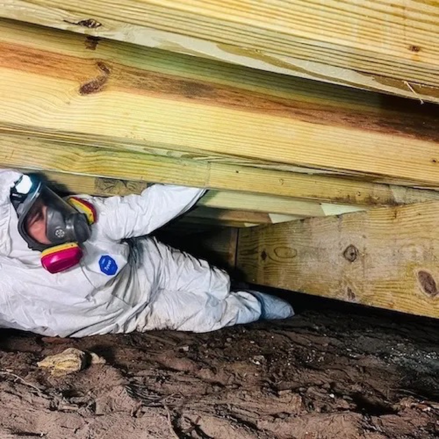 Crawl Space Cleaning & Encapsulation